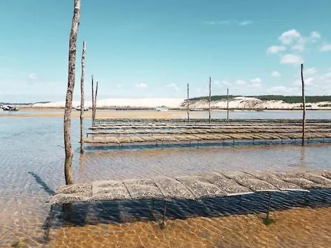 Josephine * Arcachon