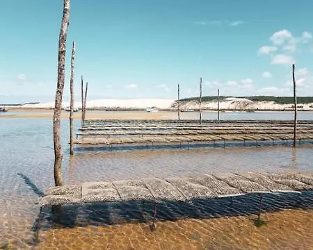 Josephine * Arcachon